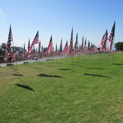 Panoramic shot of flags on field against clear sky