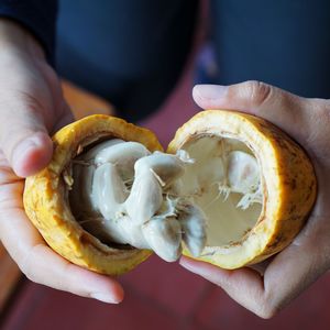 Close-up of hand holding ice cream