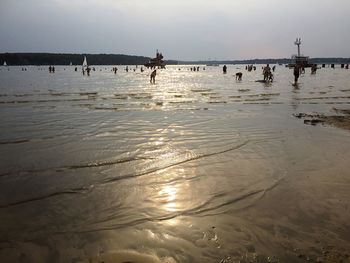People enjoying at strandbad wannsee against sky