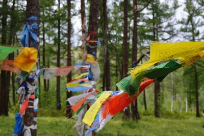 Prayer flags with good wishes, tie on trees for a safe and secure road.