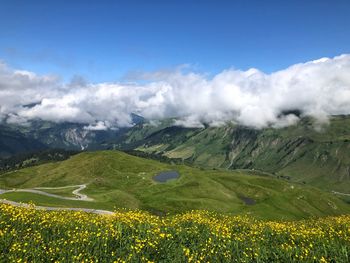 Scenic view of grassy field against cloudy sky