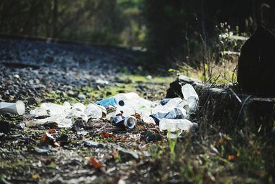 Close-up of abandoned bottle on field