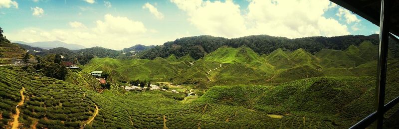 Scenic view of field against cloudy sky