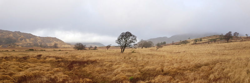 Panoramic view of field against sky