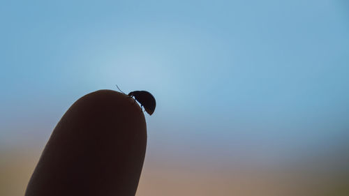 Low angle view of hand against clear sky