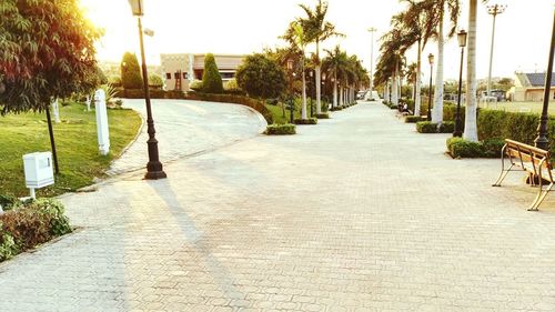 Walkway amidst palm trees against sky