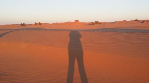 Shadow of person on sand in desert against sky