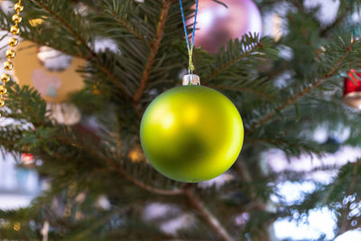 Close-up of christmas decoration hanging on tree