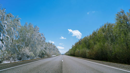 Road amidst trees against blue sky