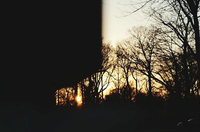 Bare trees on landscape at sunset