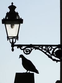 Low angle view of lamp post against clear sky