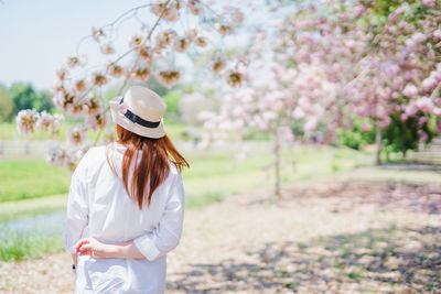 Woman wearing hat standing against trees with full bloom sakura