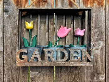 Close-up of pink flowers hanging on wood