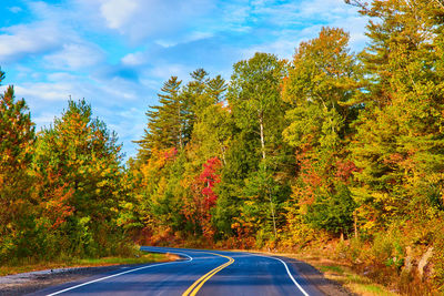 Road amidst trees against sky