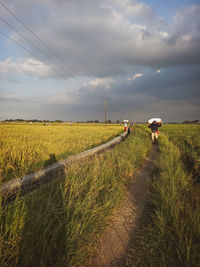 Rear view of man walking on field against sky