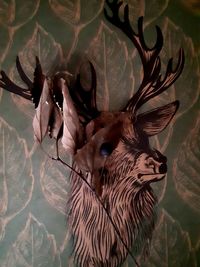 High angle view of ducks swimming on plant