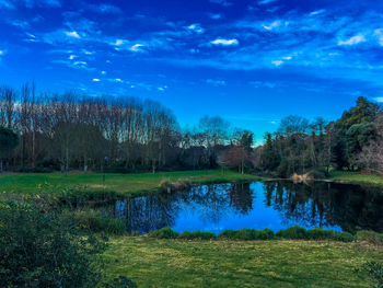 Reflection of trees in lake against blue sky