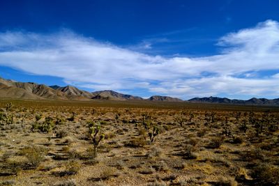 Scenic view of barren landscape against blue sky