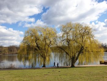 Scenic view of lake by trees on field against sky