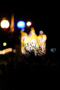 Close-up of illuminated blurred lights at night