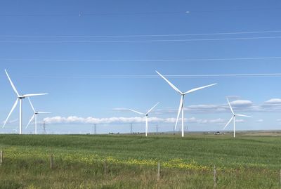 Windmills on field against sky