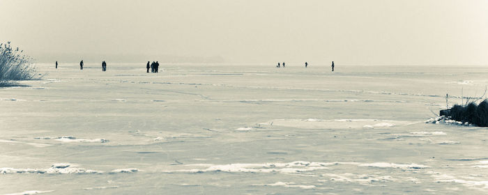 Silhouette people on beach against sky