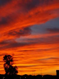 Low angle view of silhouette trees against orange sky