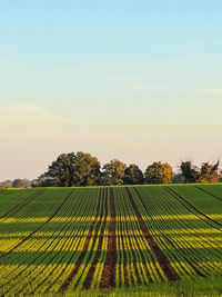 Road amidst field against sky