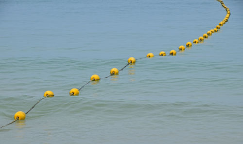 Yellow buoy with rope floating on sea