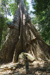 Man standing by tree trunk in forest