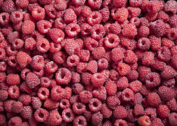 Natural fruit background of fresh raspberries top view, texture of berries