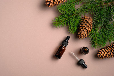 High angle view of christmas decoration on table