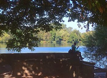 Tree sitting on bench by lake