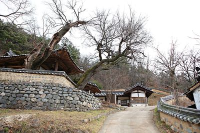 Footpath amidst bare trees and buildings against sky