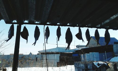 Clothes hanging on roof against sky