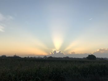 Scenic view of field against sky during sunset