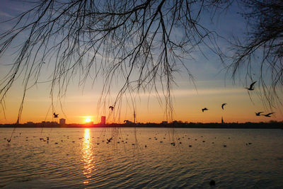 Scenic view of sea during sunset