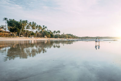 Distance shot of people walking on calm beach