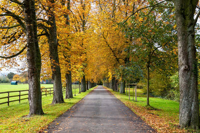 Footpath amidst trees in park during autumn