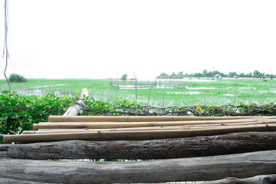 Wooden log on field against clear sky