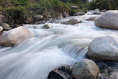 View of river flowing through forest