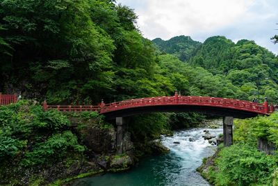 Arch bridge over river in forest