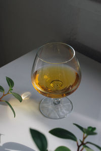 Brandy snifter, whiskey glass on white table with plants