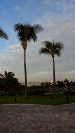 Palm trees against sky during sunset