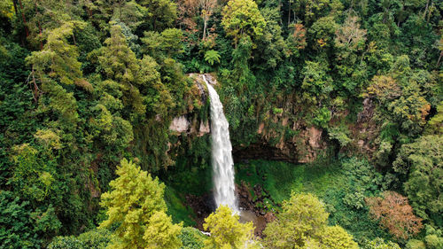 High angle view of waterfall in forest