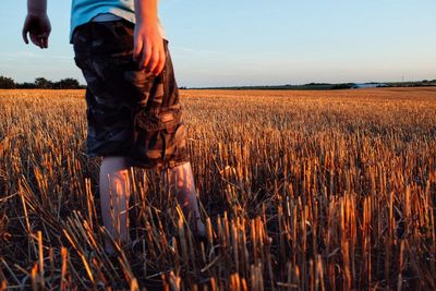 Crop in field