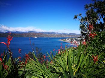 Scenic view of sea against blue sky