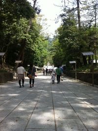 Rear view of people walking on road along trees