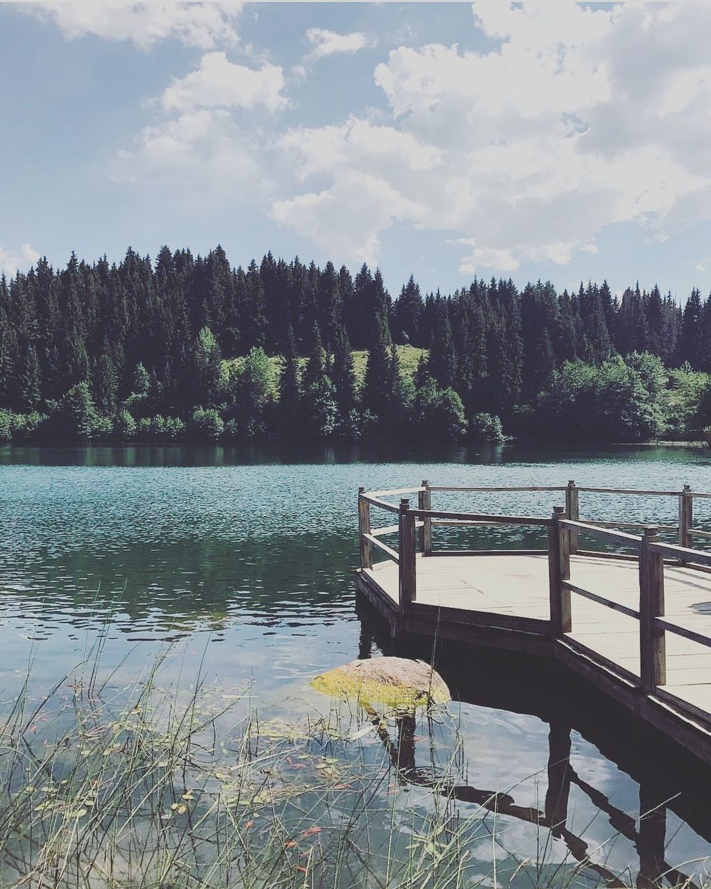 tree, water, plant, lake, sky, tranquil scene, tranquility, beauty in nature, nature, scenics - nature, cloud - sky, day, growth, no people, non-urban scene, forest, reflection, outdoors, idyllic