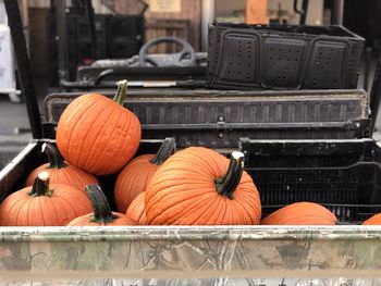 Close-up of pumpkins in market